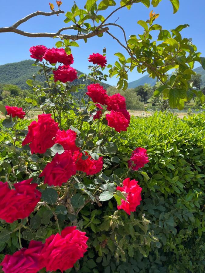 La Cannucciola Piediluco Dış mekan fotoğraf