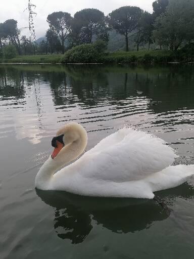 La Cannucciola Piediluco Dış mekan fotoğraf