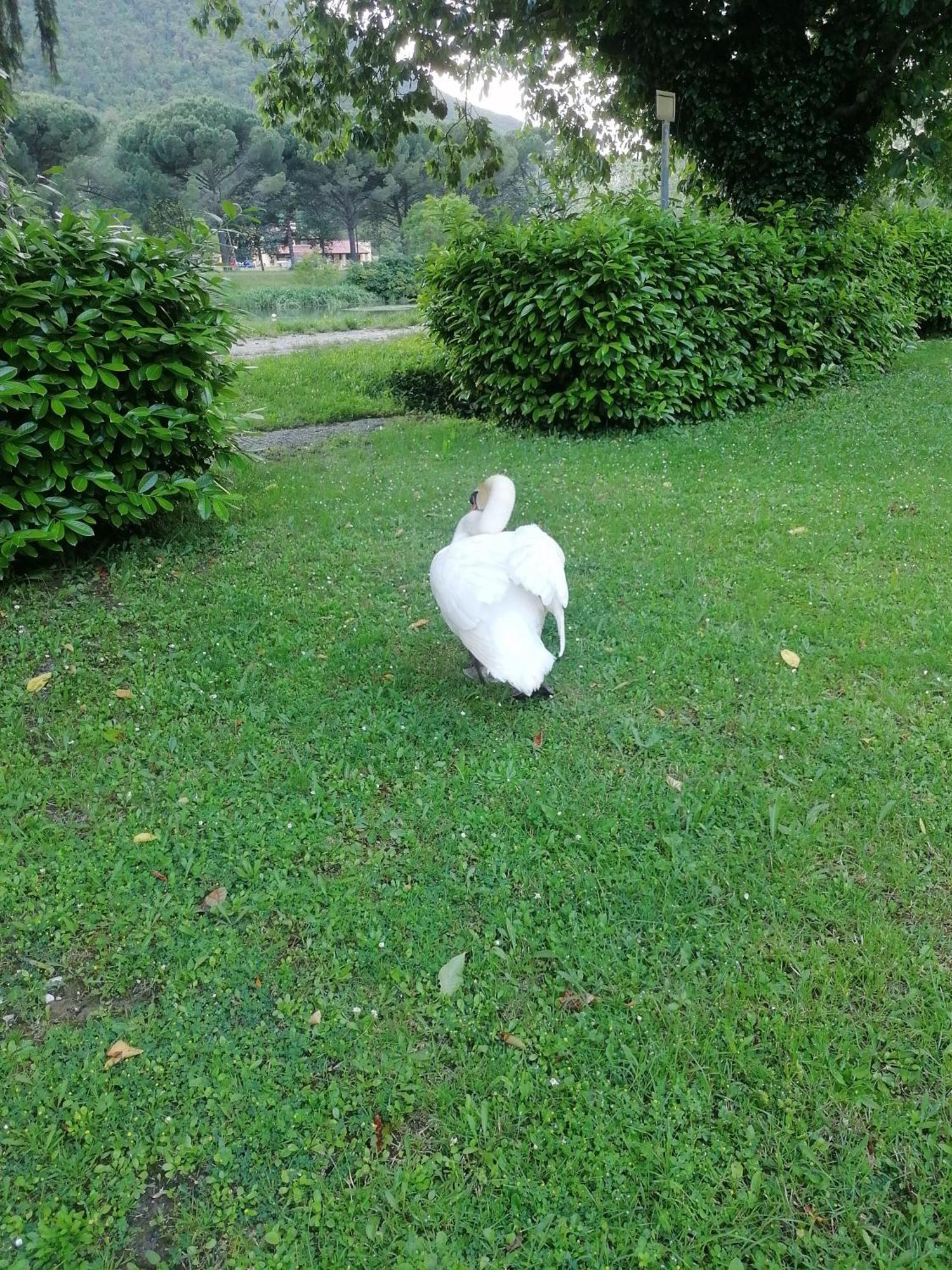 La Cannucciola Piediluco Dış mekan fotoğraf